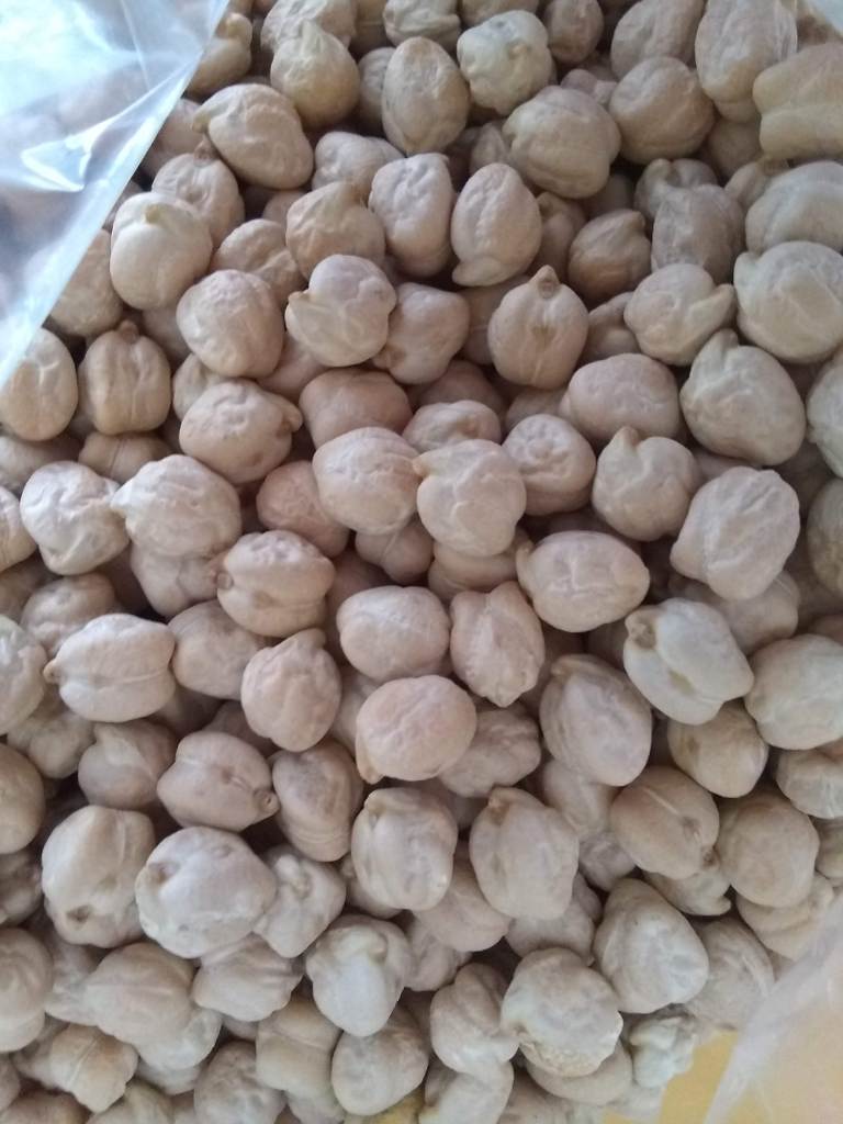 chickpeas