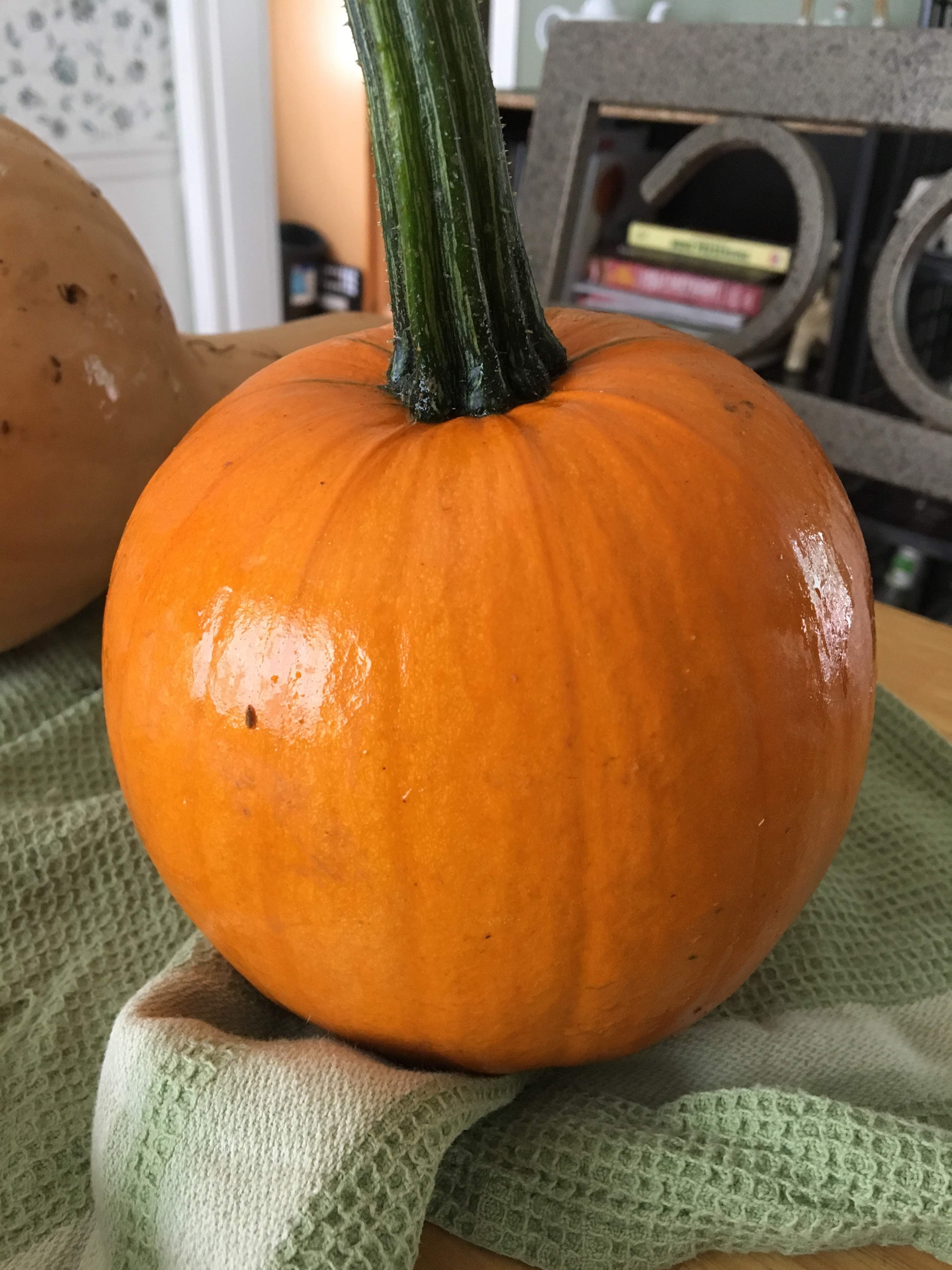 picture of actual pumpkin roll coming soon!